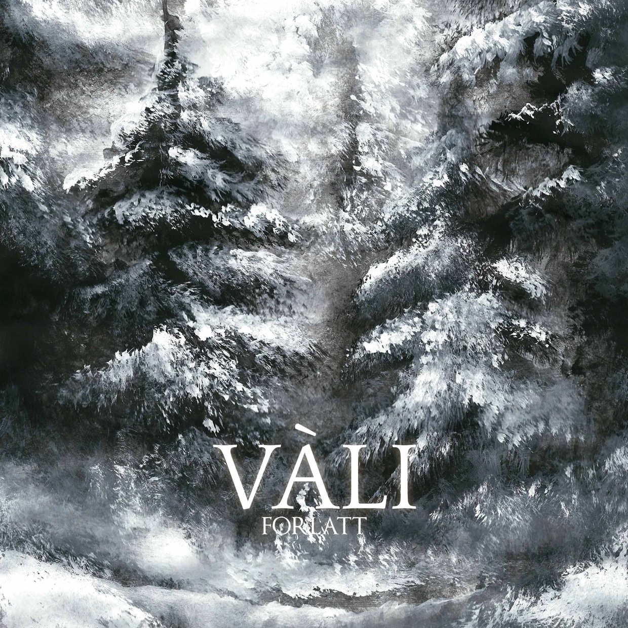 VALI - FORLATT - CD image 1