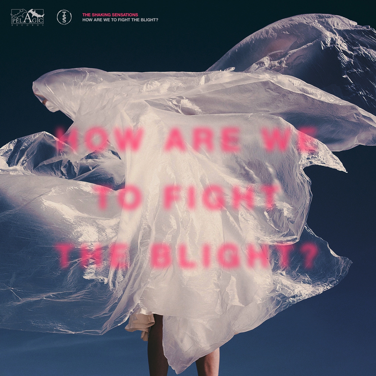 SHAKING SENSATIONS - HOW ARE WE TO FIGHT THE BLIGHT? - Vinyl Record image 1