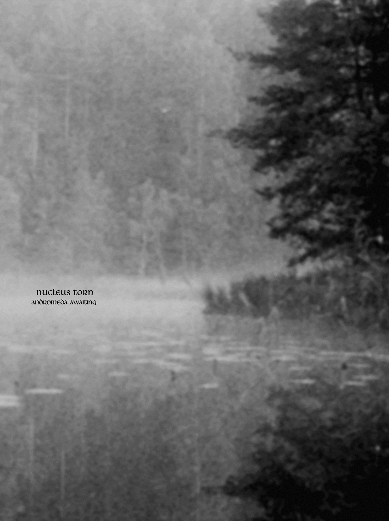 NUCLEUS TORN - ANDROMEDA AWAITING - CD image 1