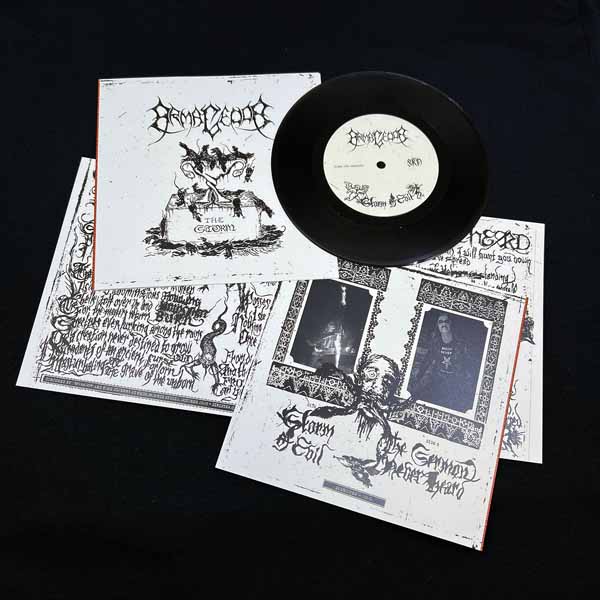 ARMAGEDDA THE STORM - None Vinyl 7"